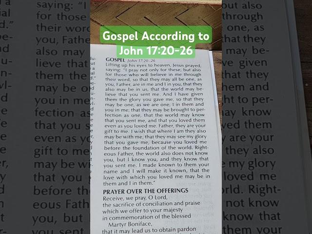 Gospel According to John #dailymass #catholicdevotion #catholiclife #gospel #history