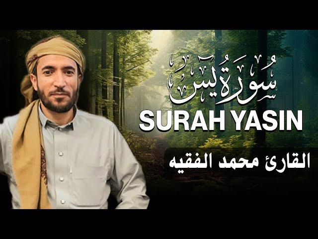 سورة يس كاملة (مكتوبة ) للقارئ الشيخ محمد الفقيه _ تلاوة خاشعة ومؤثرة