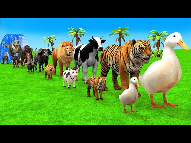 Paint Animals: Cow Duck Elephant Tiger Hippo Funny 3d Animal Transformation Crossing Fountain Game