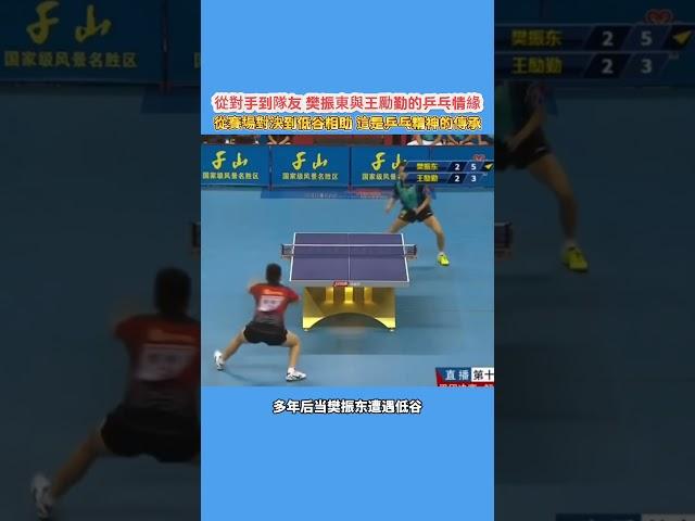 從對手到隊友！樊振東與王勵勤的乒乓情緣！從賽場對決到低谷相助，這是乒乓精神的傳承！#乒乓球 #樊振東 #王勵勤 #體育精神 #傳承 #中国男乒