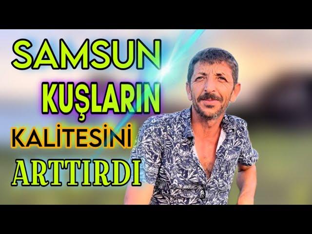 Yer’e Kuş Oynatmak Ciğer İster / Oylaslı Zeki Ar / Samsun