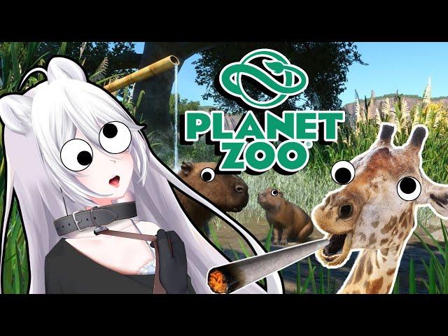 THIS ZOO IS CRAZY !!! | Planet Zoo | Let's Game It Out React
