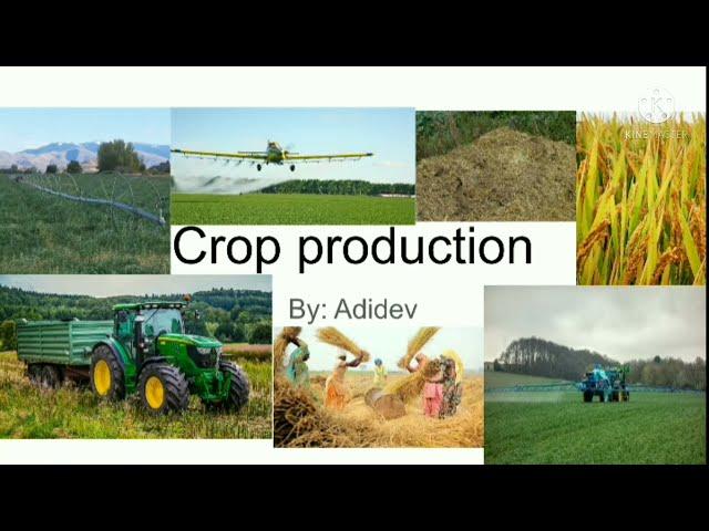 Crop Production
