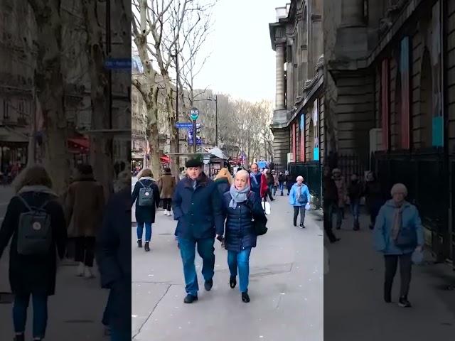 Paris in a Croissant: A Bite-Sized Parisian Adventure 