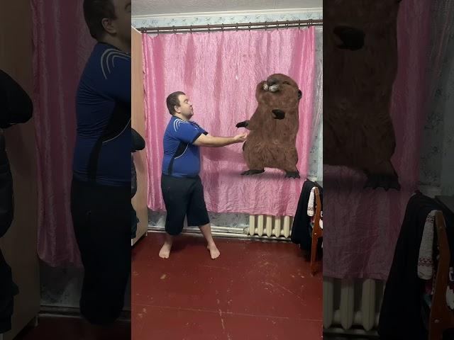 1080p бобр бобер кавер
