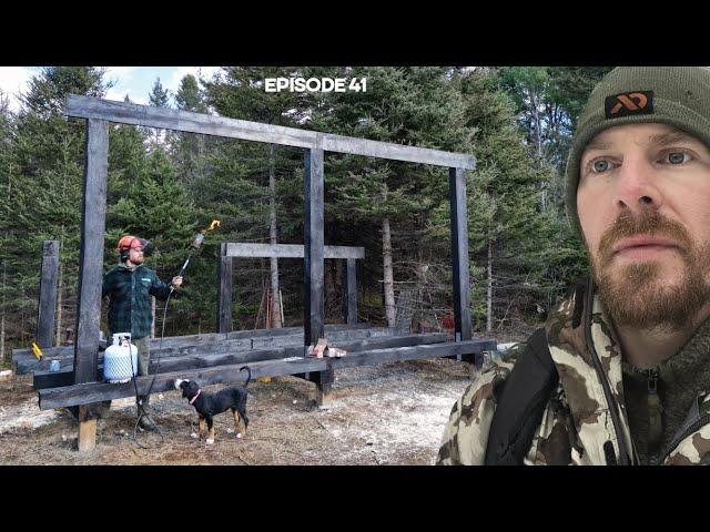 Log Cabin Build on Off-Grid Homestead |EP41| WOOD SHED - Giant Japanese Style