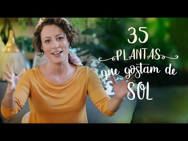 35 PLANTAS que AMAM SOL (boas para CALOR e FRIO)