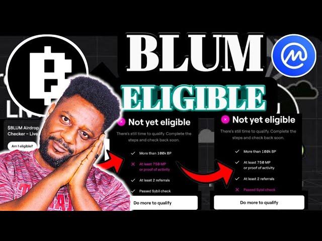Blum Airdrop Snapshot - Blum Token Eligibility Checker
