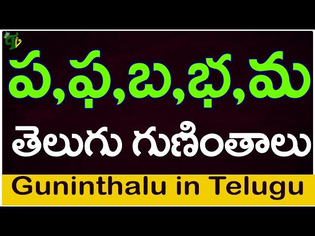 ప ఫ బ భ మ గుణింతాలు | Pa Pha Ba Bha Ma guninthalu |How to write Telugu varnamala guninthalu