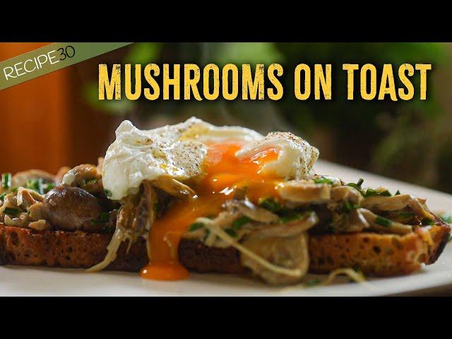 Creamy Mushrooms on Sourdough Toast with Poached Egg