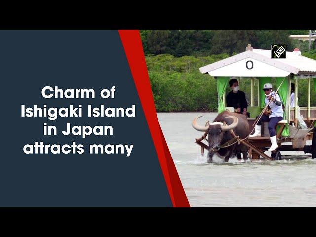 Charm of Ishigaki Island in Japan attracts many