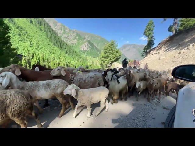 Beautiful Northern Areas of Pakistan | Cheers and Chirps by Yasir Zeb