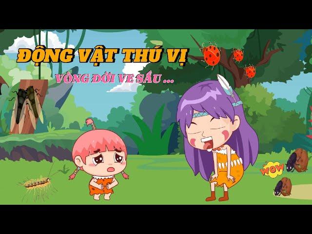 Mi Mi bắt nhầm Bọ Rùa gây hại và cái kết..!! !! | #xuhuong #hoathinh #kienthuc #côntrùng #độngvật