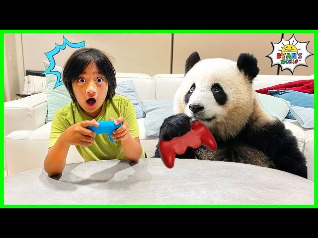 Learn about Panda Facts for Kids with Ryan!