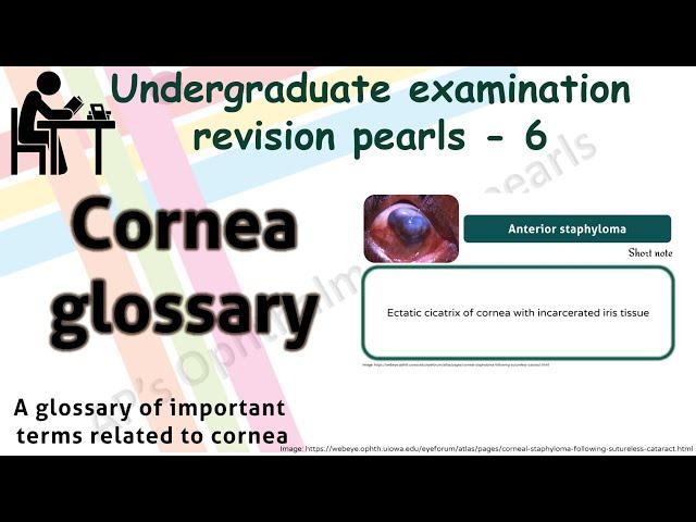 Cornea Glossary| Undergraduate examination revision pearls 6