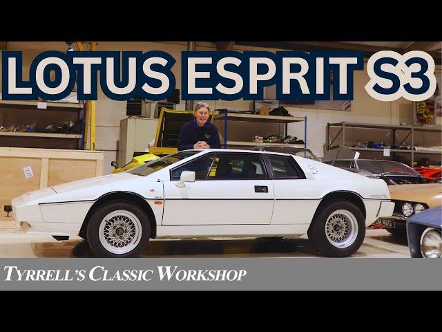 Lotus Esprit S3 | Tyrrell's Classic Workshop