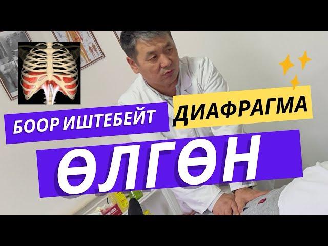 БООРДУ ИШТЕТКЕН ДИАФРАГМА ӨЛСӨ БҮТӨТ БАРЫ!