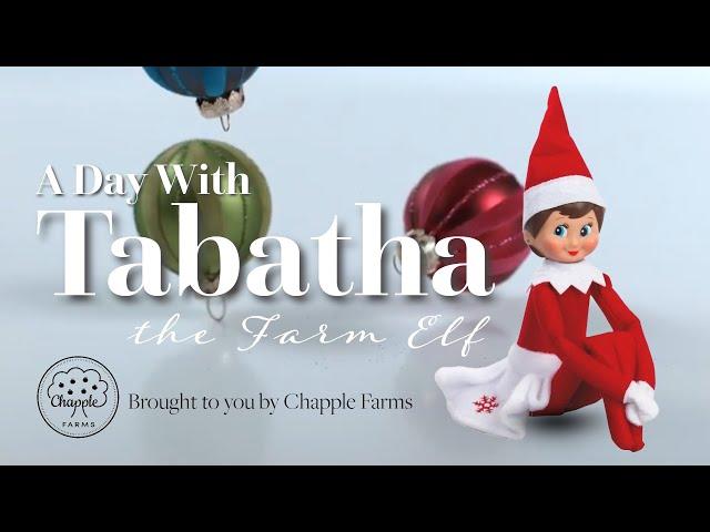 Tabatha the Christmas Elf visits Chapple Farms