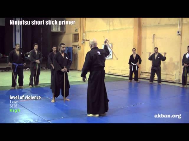 Ninjutsu 'Stick fighting' basics - Hanbo training for the AKBAN wiki