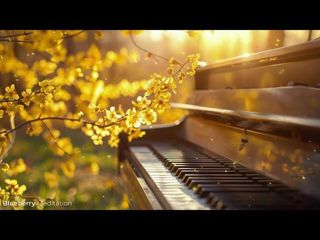 Dreamy Serenades  Soothing Piano Music 6 Hours for Deep Sleep, Relaxation, and Meditation