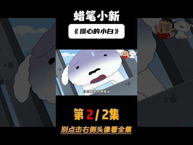 小白才是野原家的顶梁柱？每天操心两个小孩的日常 第二集#蜡笔小新 #二次元动漫 #动漫解说