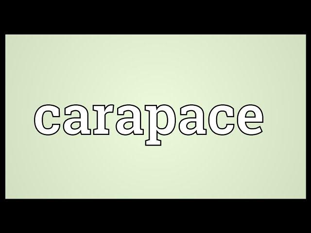 Carapace Meaning