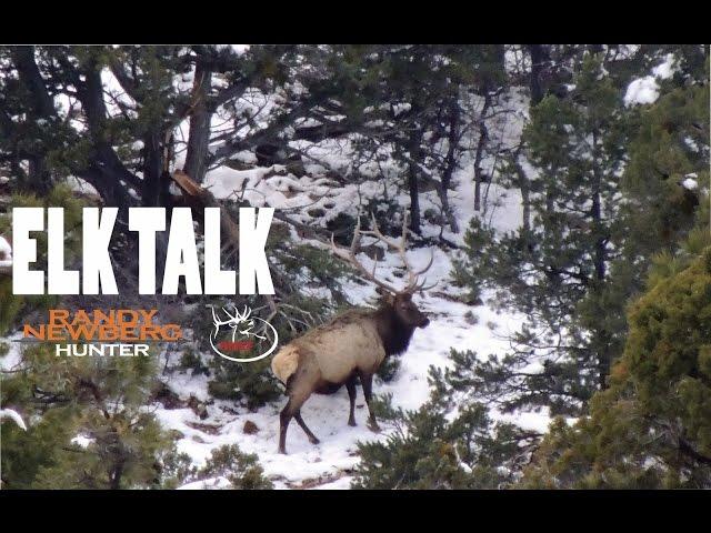 (DIY hunting) ELK TALK - Randy Newberg's "SYSTEM" for finding Late Season Bulls