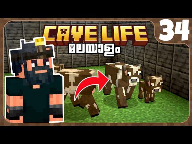 CL34: I MADE A COW FARM IN MY CAVE BASE!