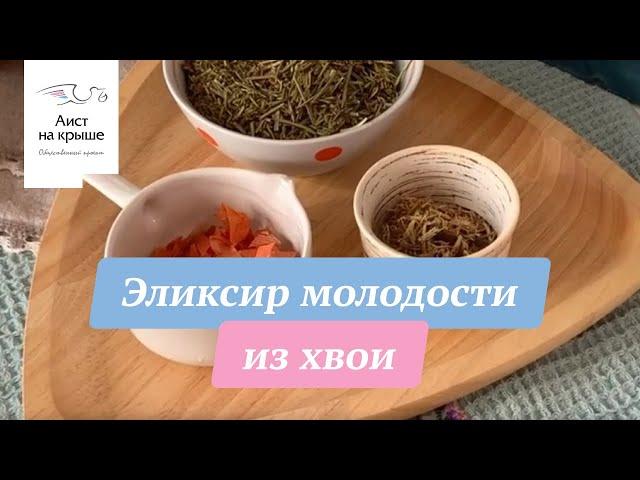 Эликсир молодости из хвои