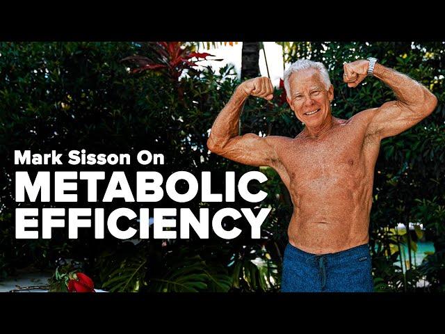 Why It's Better to Have an Efficient Metabolism Than a Fast One | Mark Sisson