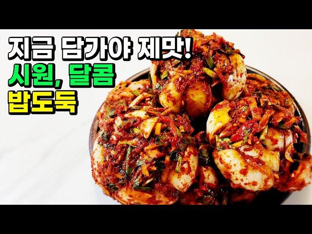 요즘 이걸로 김치 담그면 난리 납니다. 봄 제철 양파김치 해보면 다들 맛있다고 놀라요!