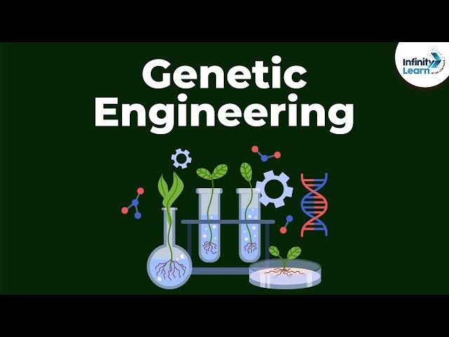 Genetic Engineering | Genetics | Biology | Don't Memorise