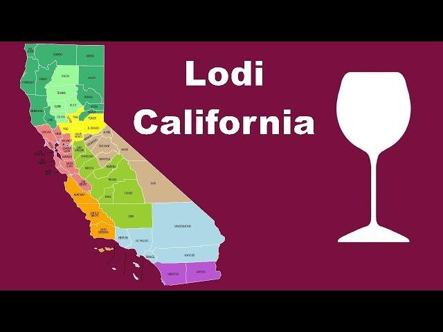 What is Lodi wine?