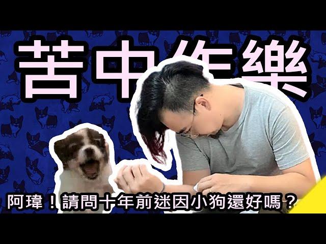 WhiteKuo珠寶設計師｜夫妻生活｜夫妻日常｜請注意音量｜帶您重溫十年前的迷因｜小狗阿瑋｜破傷風｜資源回收｜Jewelry｜Designer｜珠寶訂製