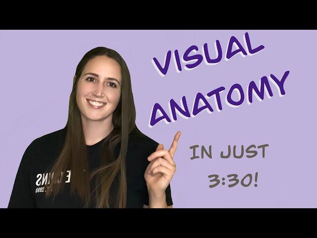 Visual Anatomy & Conditions