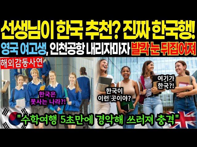 해외감동사연선생님이 한국을 추천해？ 진짜 한국행 맞아! 영국 여고생, 인천공항 내리자마자 발칵 눈 뒤집어져 수학여행 5초만에 경악해 쓰러져 충격 #해외감동사연 #감동 #해외반응