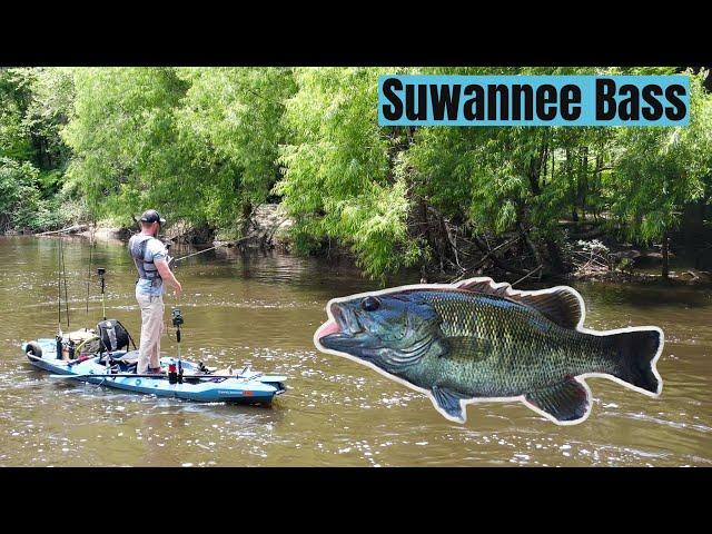 South Georgia Suwannee Bass - Georgia Bass Slam 2023