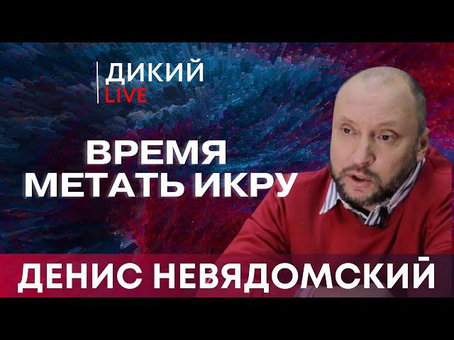 Когда форма подменяет содержание. Денис Невядомский. Дикий LIVE.