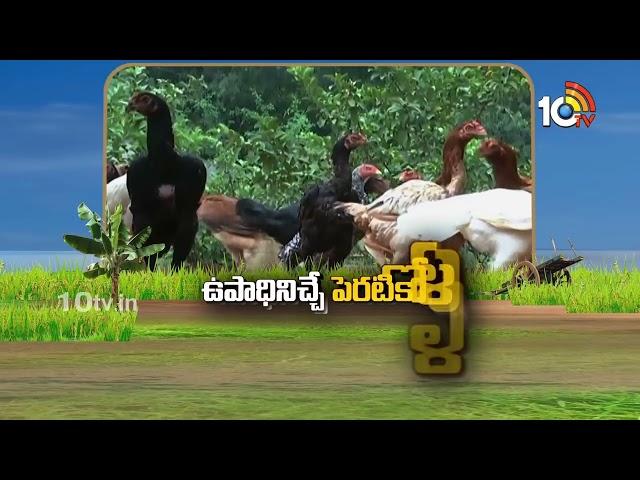 Matti Manishi Full Episode | మట్టి మనిషి | Agriculture Tips | 01-11-2024 | 10TV Agri