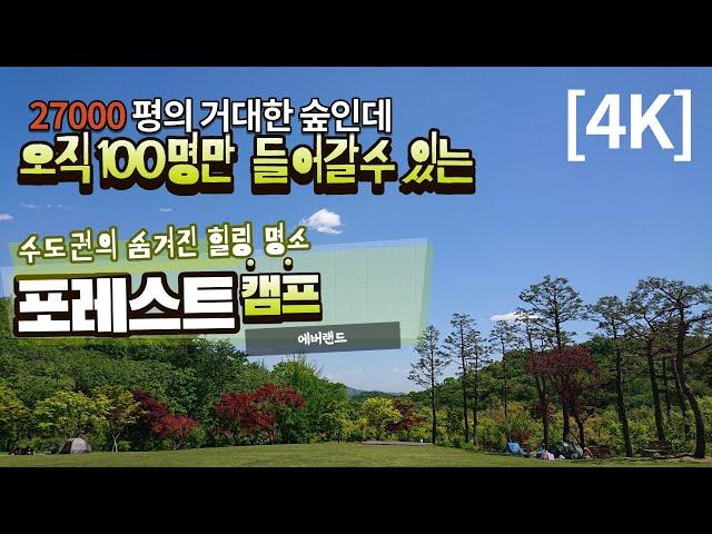 [4K]오직 100명만 들어갈수있는 숨겨진 힐링 명소, (에버랜드 포레스트캠프)