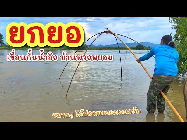 ยกยอ ลูกชะโดน้ำอิง ►Fishing lifestyle Ep.775