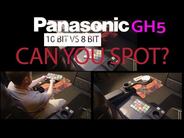 Panasonic GH5: An Inconvenient Truth - Color Space can you really see a difference? 10 bit vs 8 bit