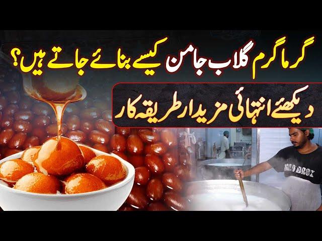 Garma Garam Gulab Jamun Kaise Bante Hai? Dekhiye Gulab Jamun Banane Ka Tarika | Gulab Jamun Recipe