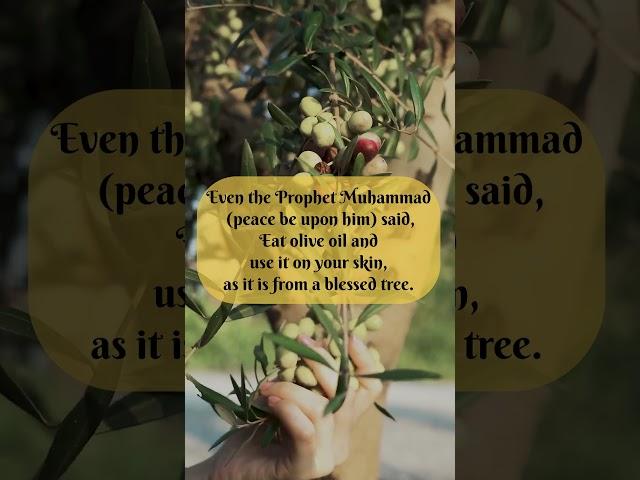 Barakah Bites: 1-Min Qur’an Superfood for Kids – Olive, The Blessed Bite!