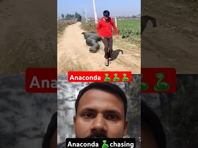 Anaconda snake chasing boy #snake #snakevideo #youtubeshorts @Runfuntv @KrishnaReactino