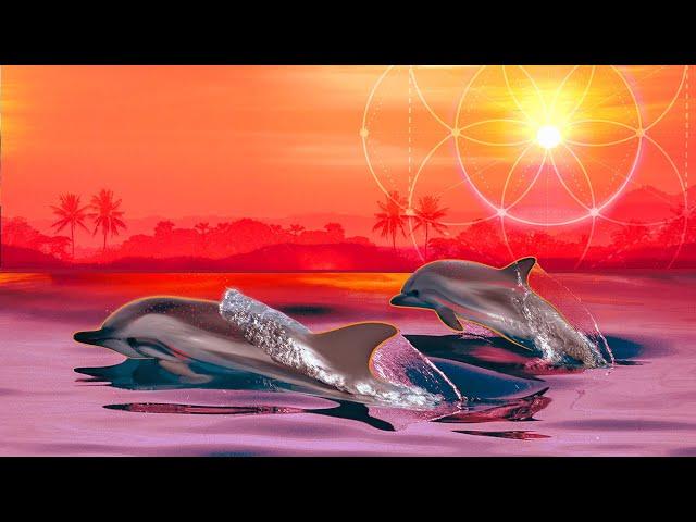 Dolphin Sounds Root Chakra 396hz Sirian Starseed Healing Music