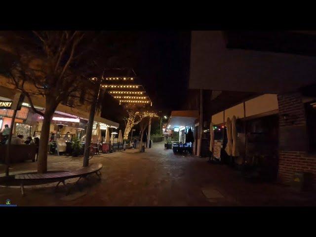 Artarmon Evening Walk | Sydney Australia | Sydney Walking Tour