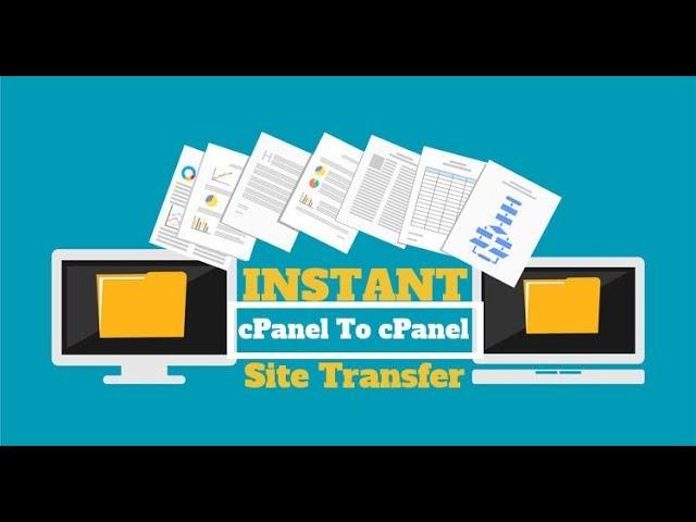 How To Migrate Website | Instant cPanel to cPanel Transfer Effortlessy | Hosting Tuition