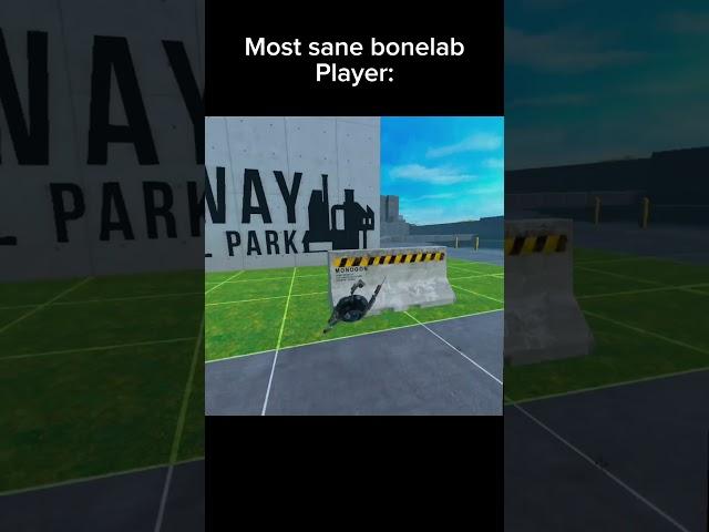 Most sane Bonelab player: #viral #bonelab