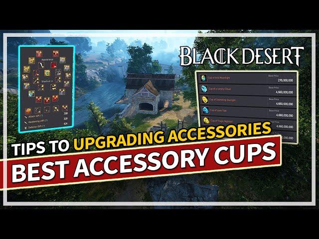 Best Accessory Cups to get for PvE & PvP 2024 Guide | Black Desert